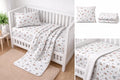 Snail Set
